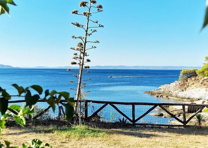 Sea La Vie