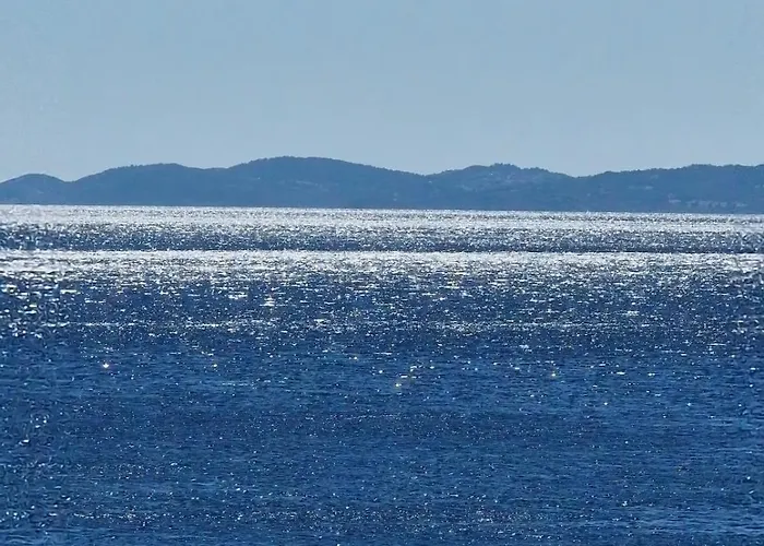 Sea La Vie كالوغريا